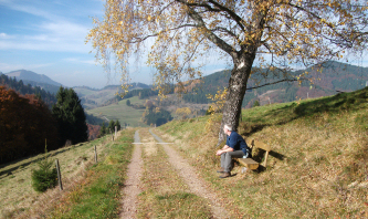 Wanderweg Hau