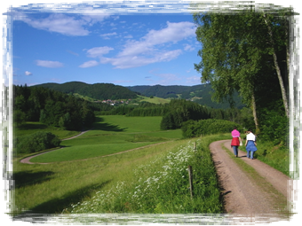 Wanderweg bei Schwand