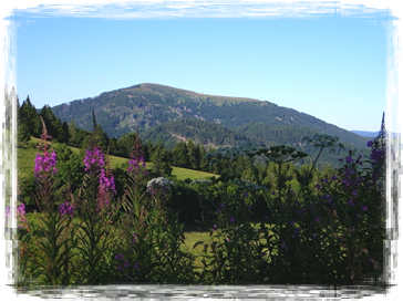 Belchenblick vom Kreuzweg